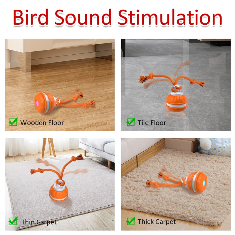 Brinquedo Interativo para Pets - Bolinha com Movimento Ativado